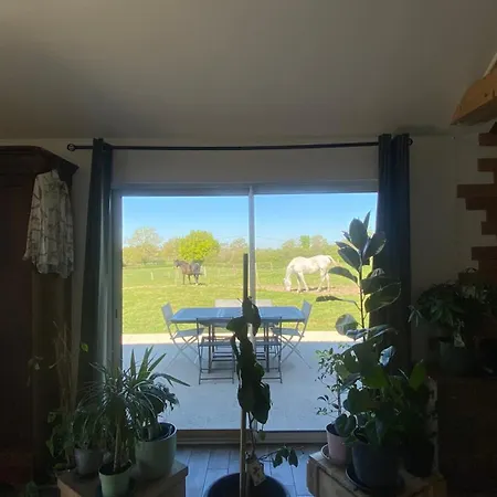 Camping Maison De Charme 3 *